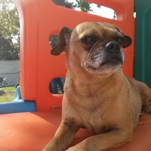 Meet your Posher, Zoe